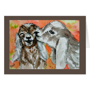 Les amis des chèvres nubiennes