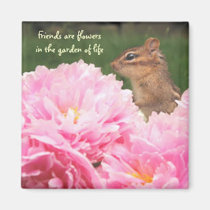 Les amis sont des fleurs Citation Chipmunk Magnet