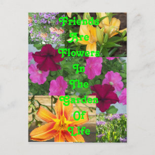 Les amis sont Fleurs ... carte    postalePC78