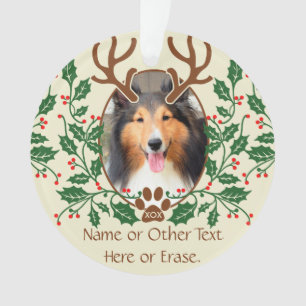 Les andouillers de Noël pour le chien/chat