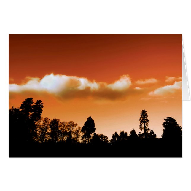 Les arbres du soleil (Devant horizontal)