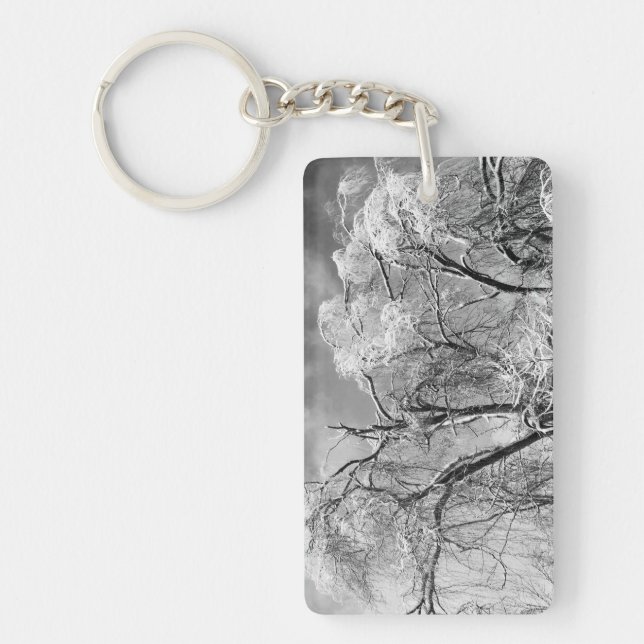 les arbres l'hiver (Devant)