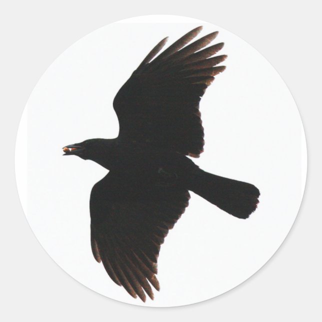 les autocollants ronds du corbeau (Devant)