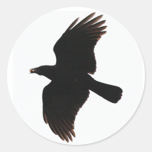 les autocollants ronds du corbeau