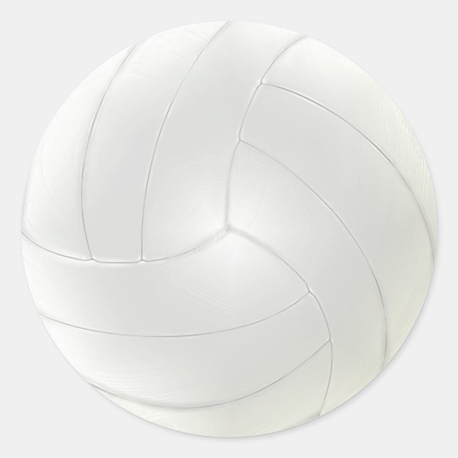 Les autocollants vides de volleyball à la main (Devant)