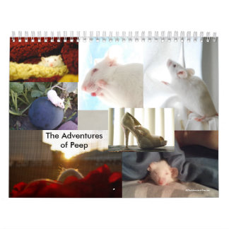 Les aventures du calendrier de piaulement