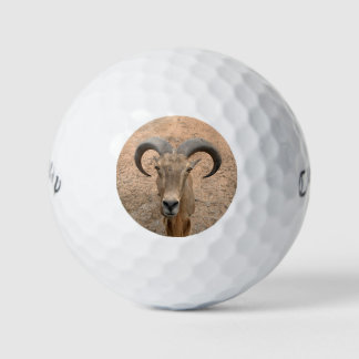 Les balles de golf de la chèvre - Ajoutez votre im