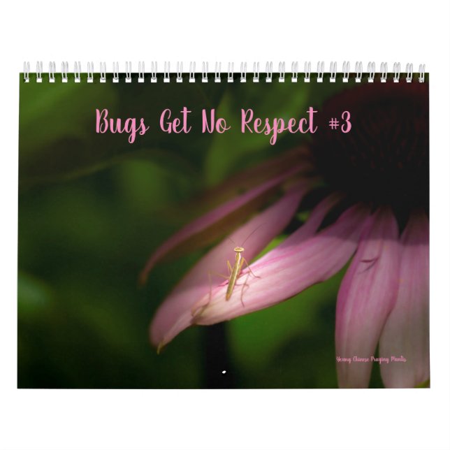 Les bogues n'obtiennent aucun respect Calendrier # (Protection)