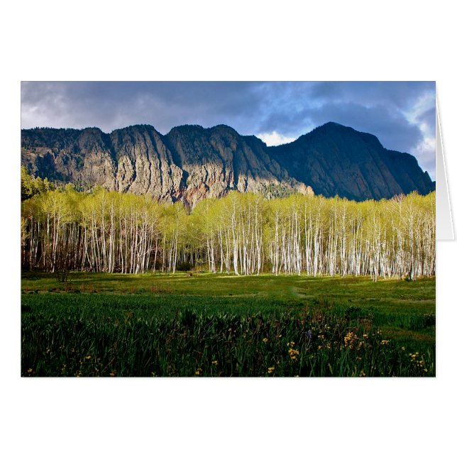 Les Brésiliens du Nouveau-Mexique (Devant horizontal)