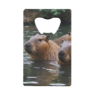 Les capybaras nagent dans la rivière, 