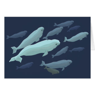 Les cartes de baleine ont personnalisé des cartes