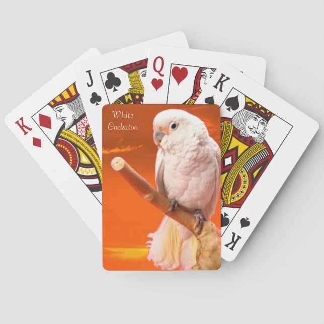 Les cartes de jeu de la faune (dos)