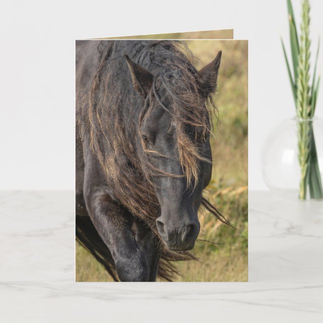 Les cartes de voeux Mane de Stallion de Wild Sable (Devant)
