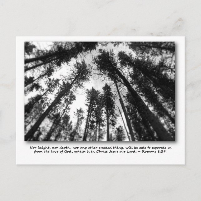 Les cartes postales de l'amour de Dieu (Devant)