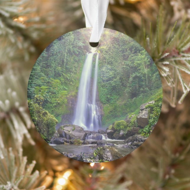 Les cascades | Bali, Indonésie (Arbre)