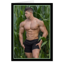 Les Chasses les plus chaudes sur la planète ! Le T