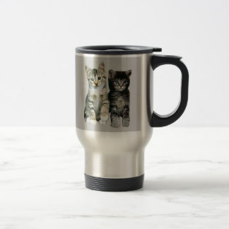 Les chatons autour ici des chats sont tasse