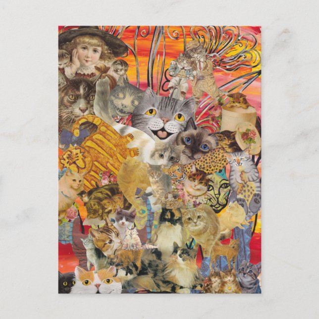 Les chats, cartes postales Plenty (Devant)