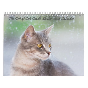 Les Chats de Chats Cradle Shelter 2014 Calendrier