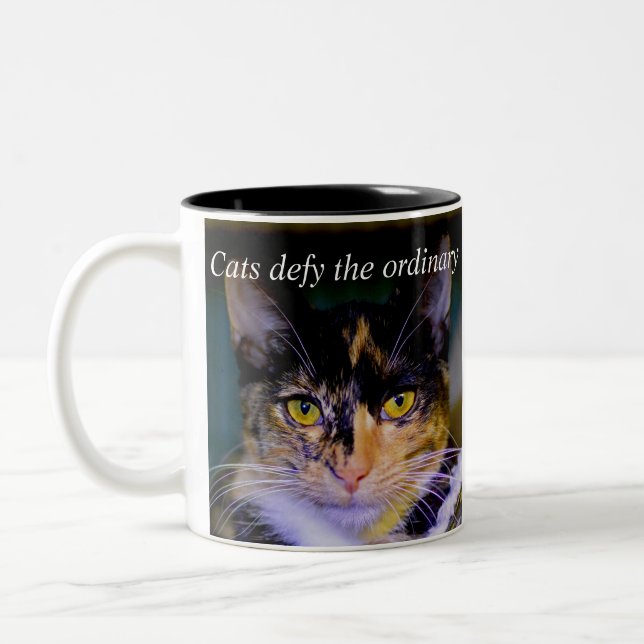 Les "chats défient" la tasse de café ordinaire (Gauche)