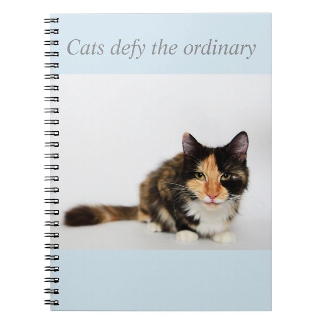 Les "chats défient" le carnet ordinaire de Phoebe (Devant)