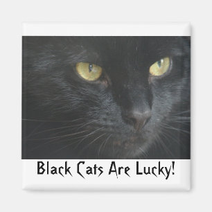 Les chats noirs sont chanceux ! Aimant