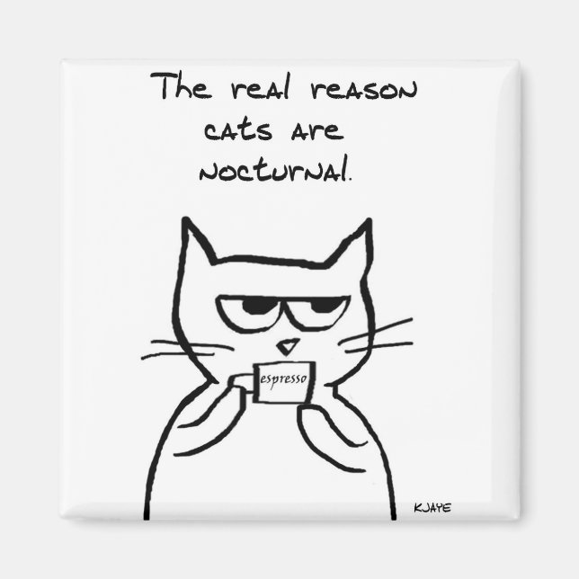 Les Chats Sont Debout Toute La Nuit - Drôle Aimant (Devant)