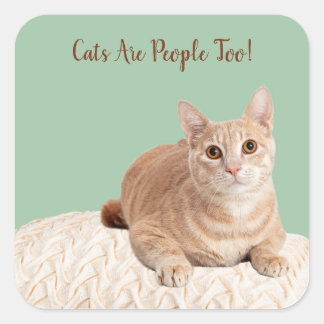 Les Chats Sont Des Gens Trop Stickers