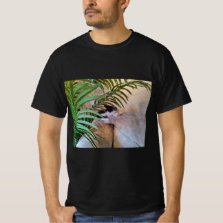 Les chats sont les meilleurs T-shirts
