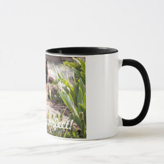 LES CHATS SONT TASSE DE CAFÉ DE PURFFECT