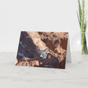Les chats sont un mystérieux genre de carte pour n