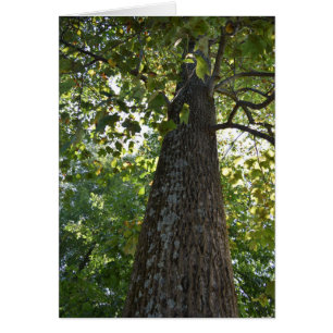 Les choses sont en train de se lever !