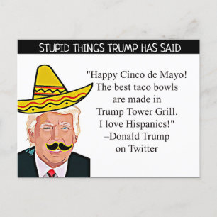 Les choses stupides Trump a dit Carte postale Souv