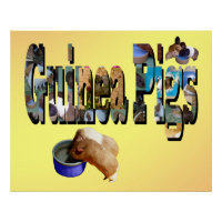 Les Cochons De Guinée Est Le Mot, Poster