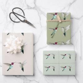 Les colibris d'Anna enveloppent des feuilles de pa