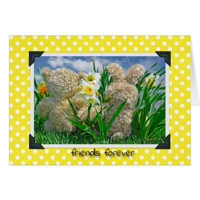 Les copains de Teddy et Bunny (Devant horizontal)