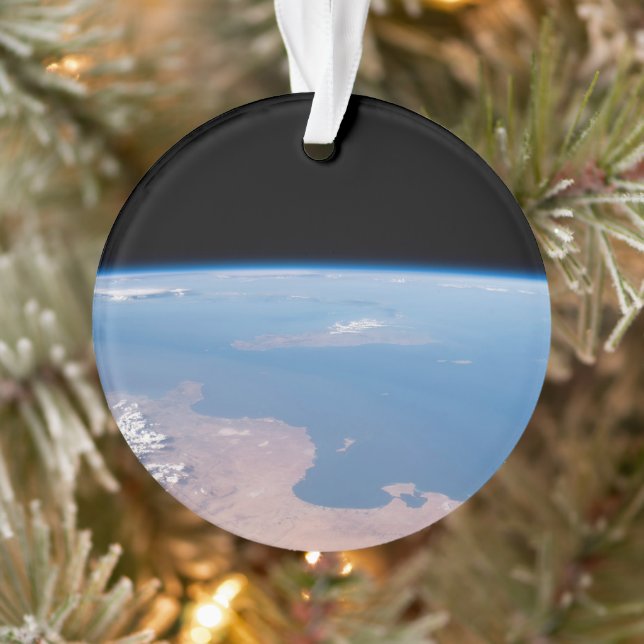 Les Côtes De Tunisie Et Libye Et L'Île De Sicile (Arbre)