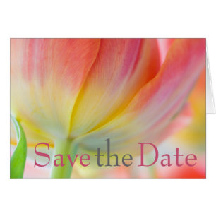 Les couleurs de la tulipe de ressort sauvent la