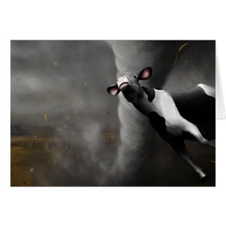 Les coups de cyclone !