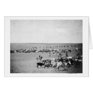 Les cowboys avec du bétail sur la chaîne Photograp
