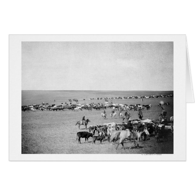 Les cowboys avec du bétail sur la chaîne Photograp (Devant horizontal)
