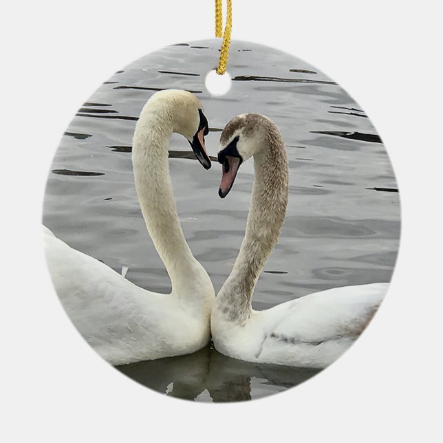 Les cygnes d'Ashley en ornement d'amour (Devant)