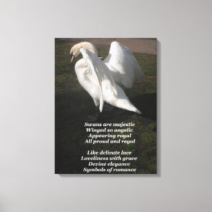Les Cygnes D'Impression En Toile Sont Majestueux P