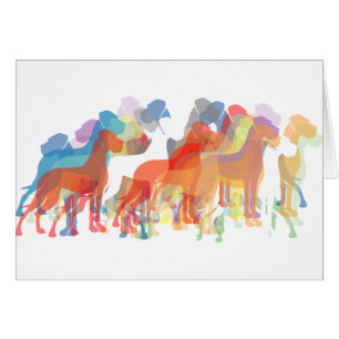 les Danes préférés