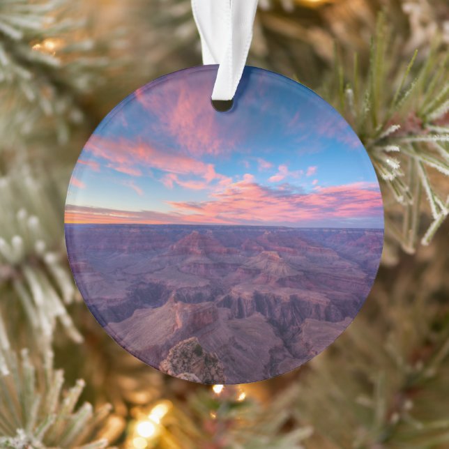 Les déserts | Hopi Point Grand Canyon Arizona (Arbre)
