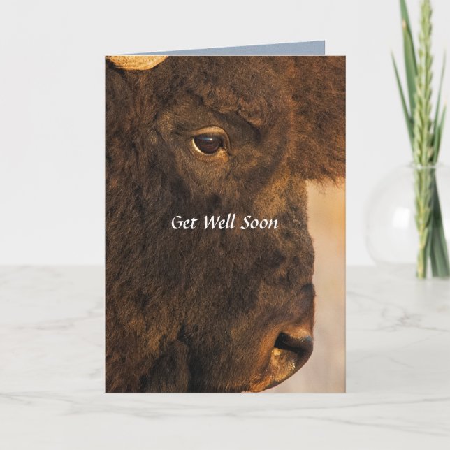 Les Deux Extrémités De La Carte Humoristique Buffa (Devant)