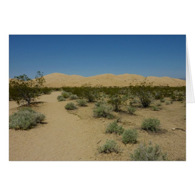 Les dunes de Kelso dans le parc national Mojave (Devant horizontal)
