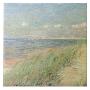 Les Dunes du Zwin, Knokke, 1887 (Öl auf Leinwand) Fliese