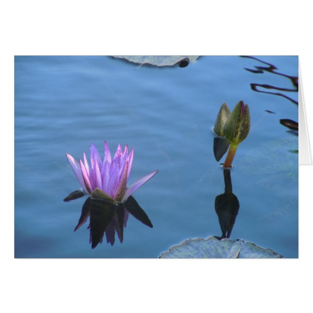 Les eaux mystiques (Devant horizontal)