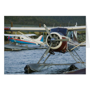 Les Etats-Unis, ALASKA, Alaska du sud-est,